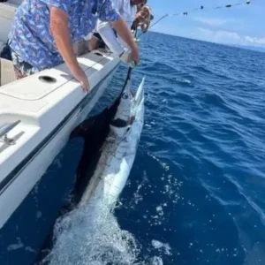 Marlin & Tuna Sport Fishing
