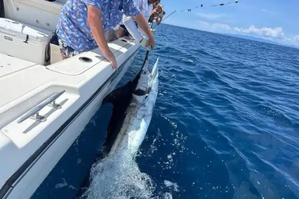 Marlin & Tuna Sport Fishing